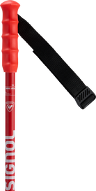 2027 Rossignol Hero GS-SG JR race poles