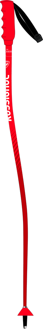 2027 Rossignol Hero GS-SG JR race poles