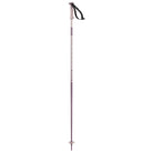 A pink Salomon Polar Ski Pole that features a durable and light weight aluminum shaft as well as an all-mountain basket.