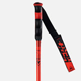 Rossignol Hero GS Poles available at Swiss Sports Haus 604-922-9107.